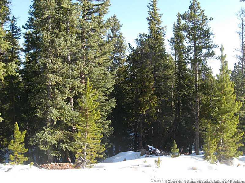 943 Venture Road Fairplay, CO 80440 - Photo 2 of 4 Gallery Image 2