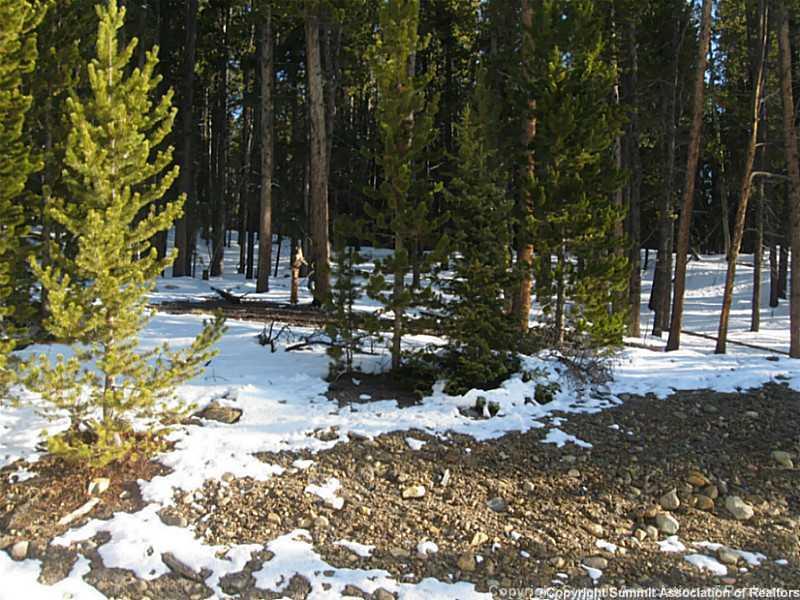 943 Venture Road Fairplay, CO 80440 - Photo 3 of 4 Gallery Image 3
