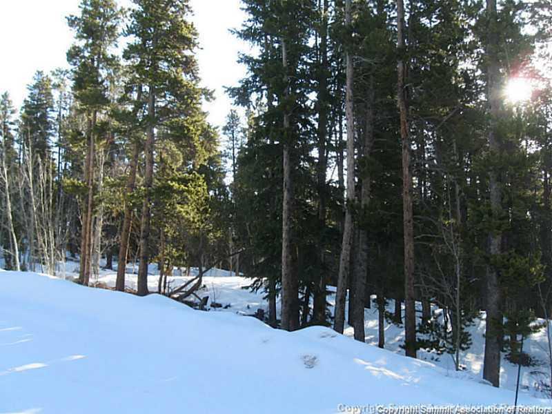 943 Venture Road Fairplay, CO 80440 - Photo 4 of 4 Gallery Image 4