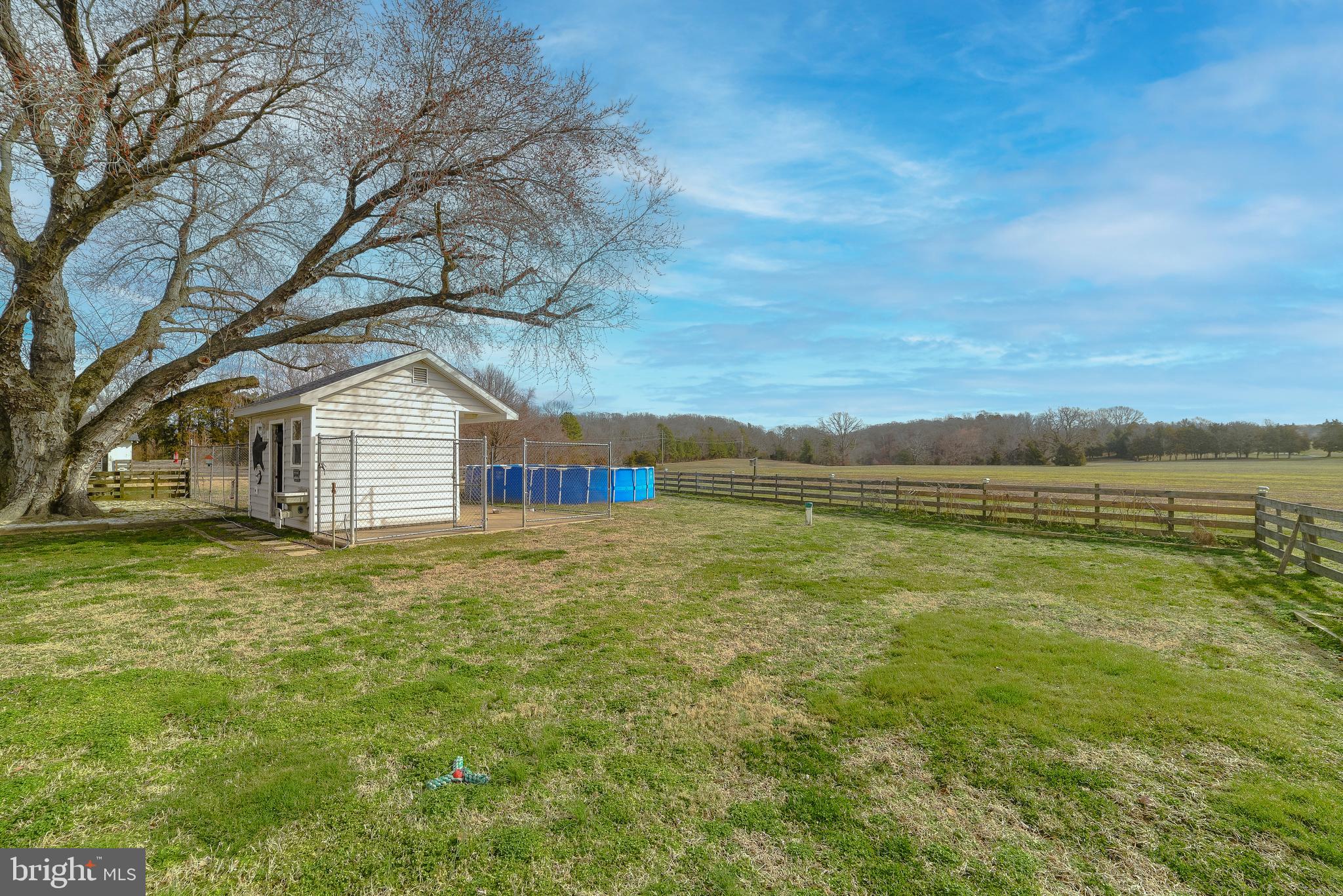 19474 Piney Point Road Valley Lee, MD 20692 - Photo 50 of 55 Shed #1