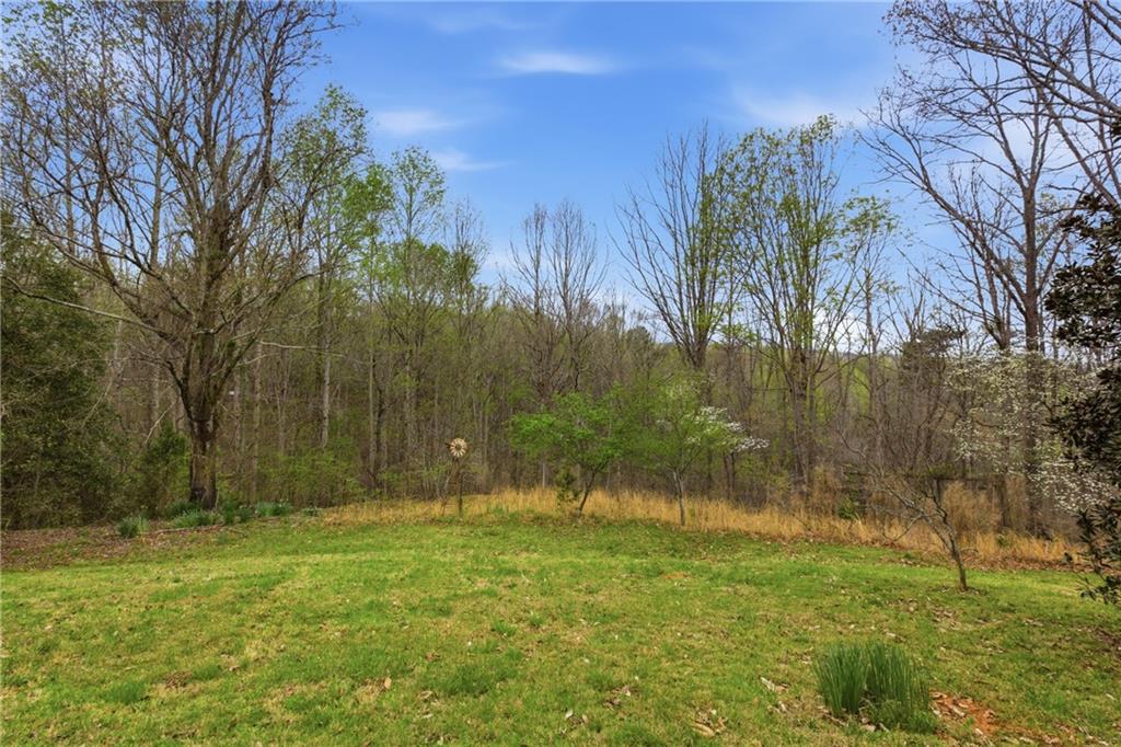 143 Copperhead Road Cornelia, GA 30531 - Photo 44 of 56 a view of backyard with green space