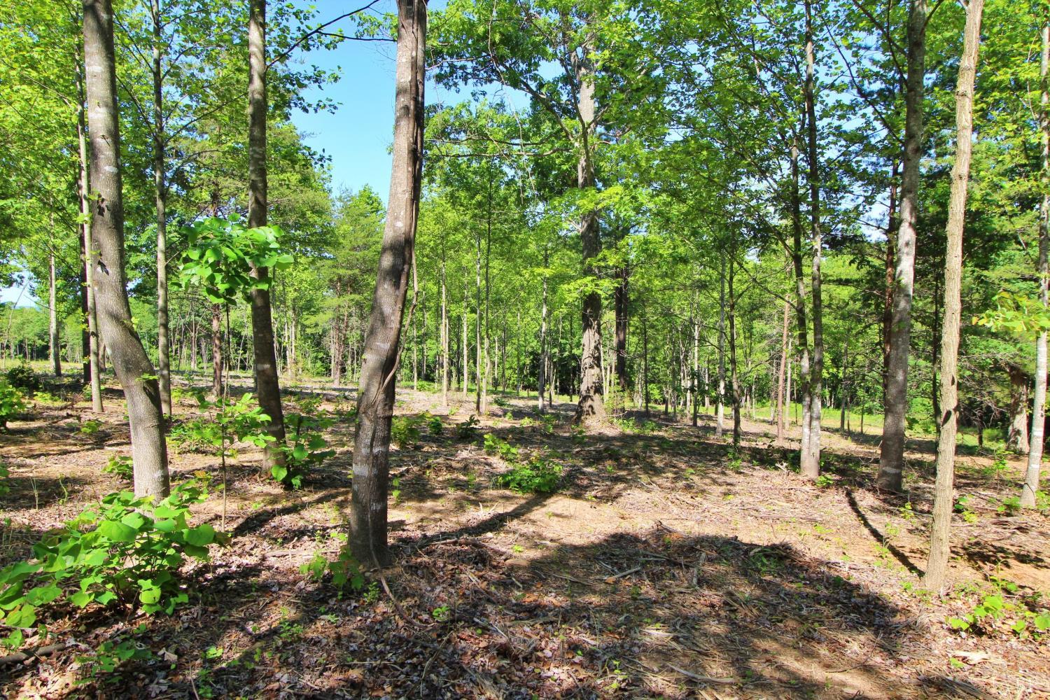 0 Tower Hill Road Appomattox, VA 24522 - Photo 4 of 11