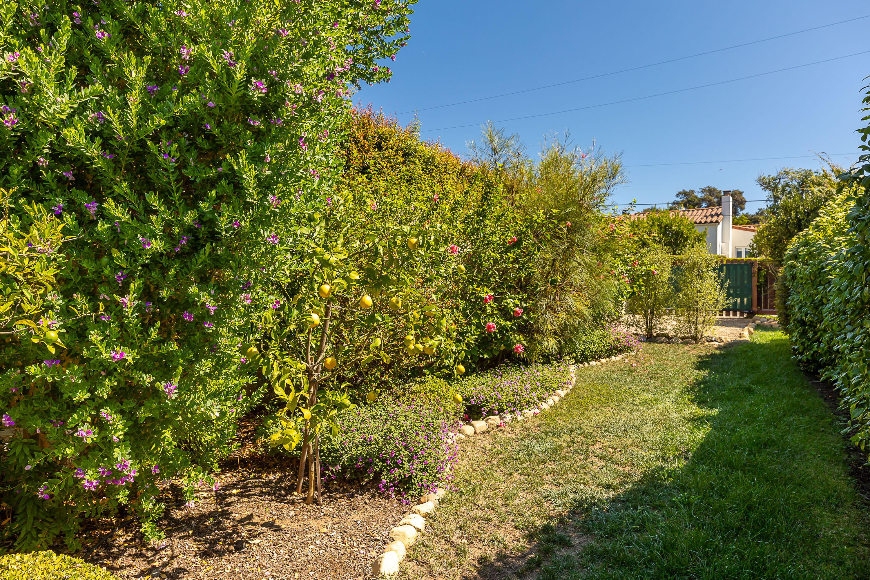 2166 East Valley Road Montecito, CA 93108 - Photo 26 of 30 a view of a big yard with plants and large trees