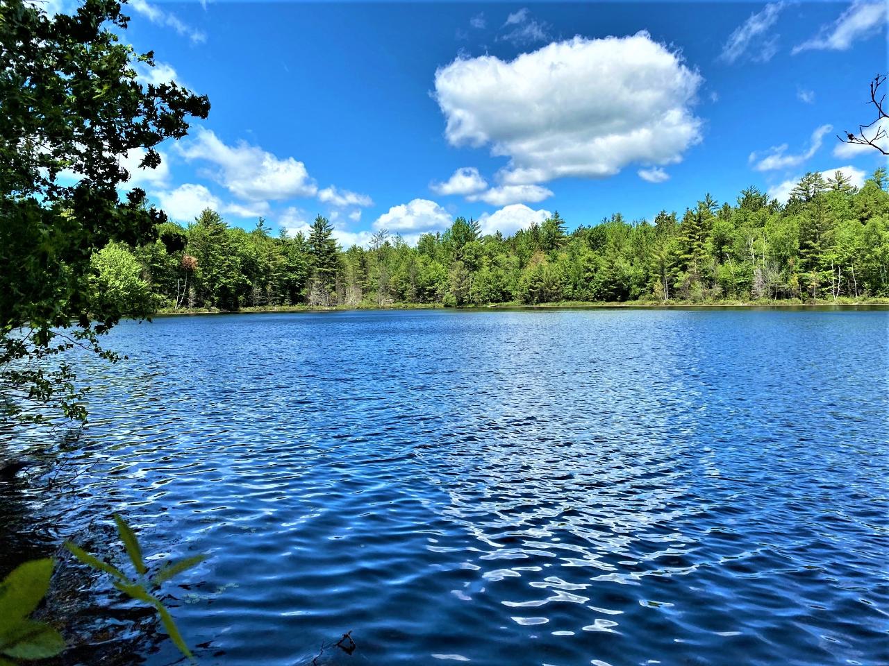 6118 Dog Lake Road Manitowish Waters, WI 54545 - Photo 8 of 14 Gallery Image 8