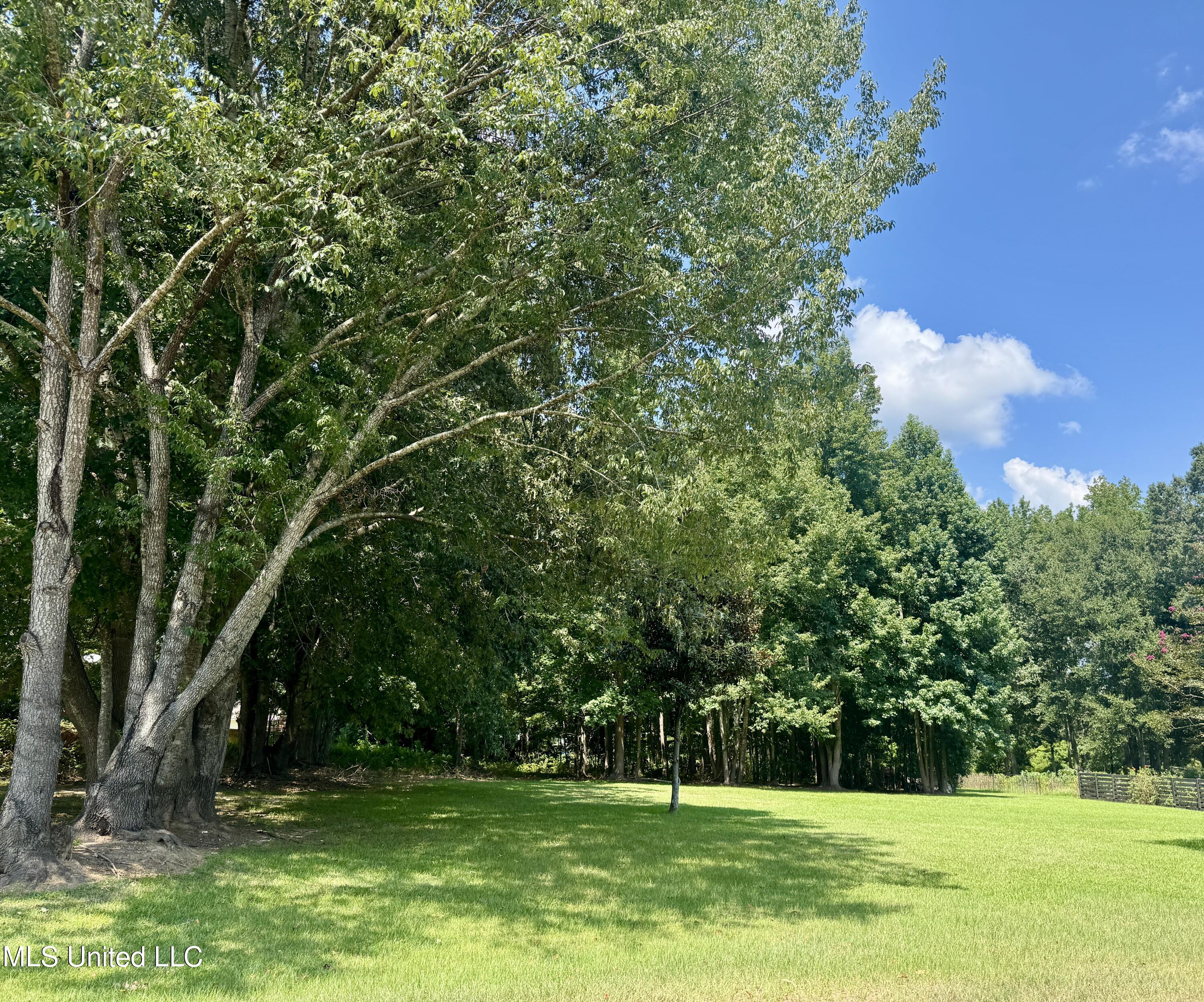 13 Sara Lane Natchez, MS 39120 - Photo 47 of 47 IMG_3316