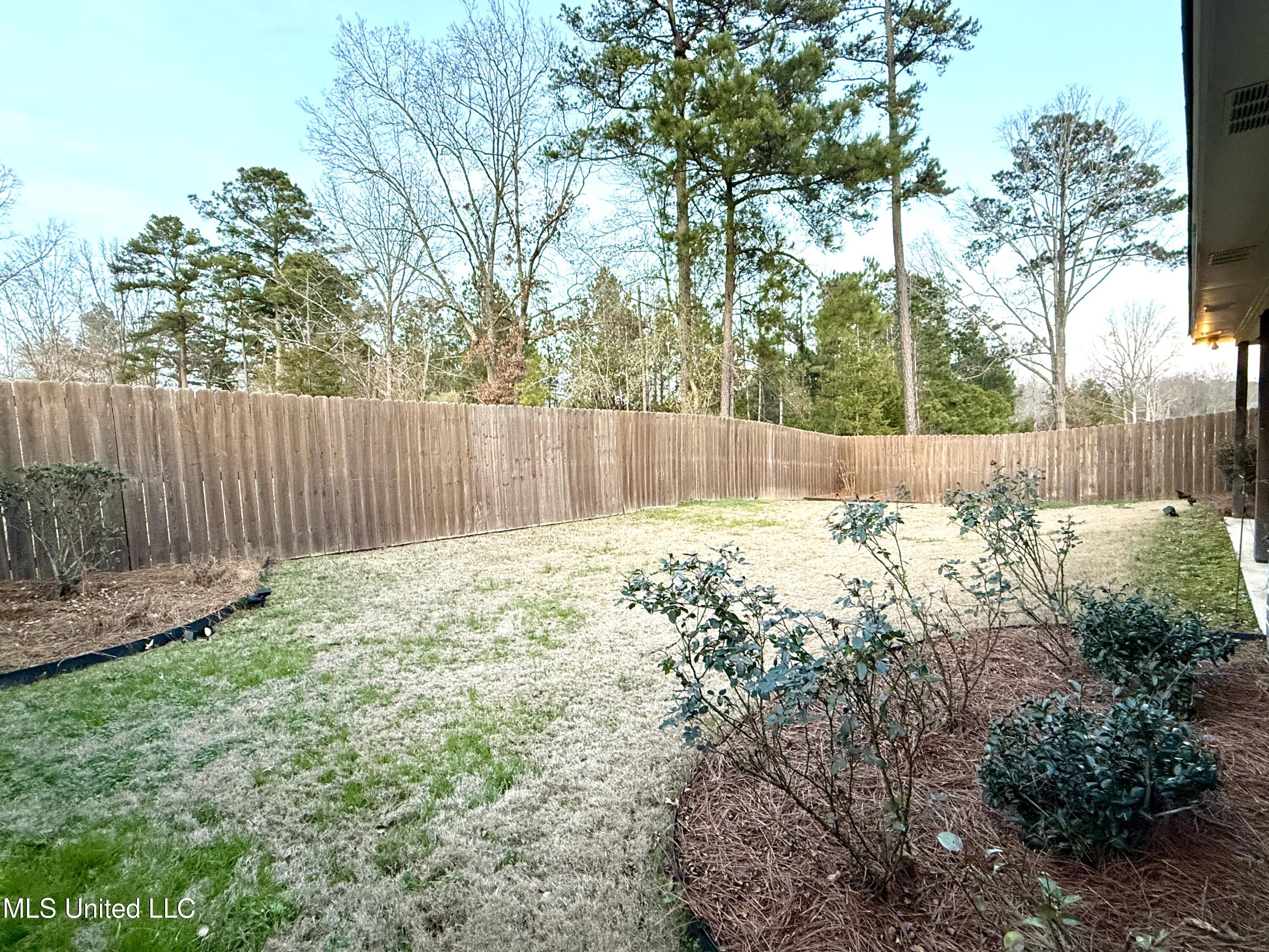 921 Filmore Dr. Brandon, MS 39042 - Photo 33 of 34 Photo Jan 13 2026, 5 11 25 PM