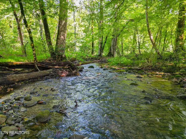 $3,650,000 | 61-acs Cosby Highway, Cosby, TN 37722