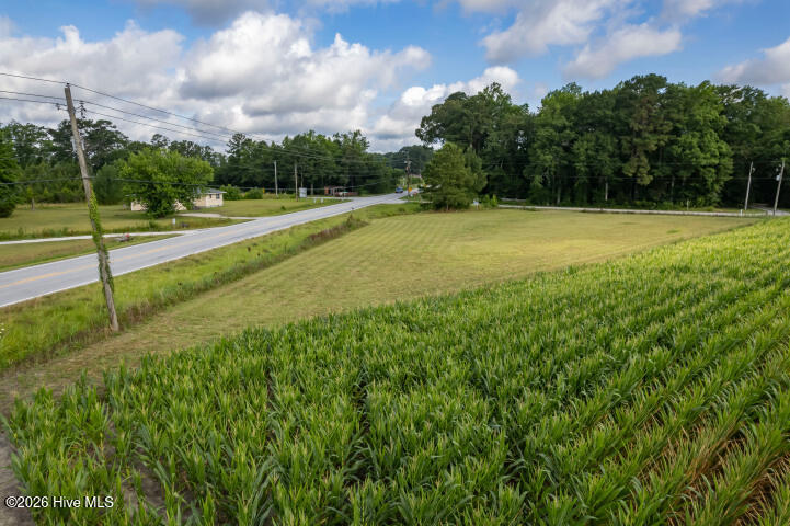 0 Alligator Loop Road Merritt, NC 28556 - Photo 10 of 12