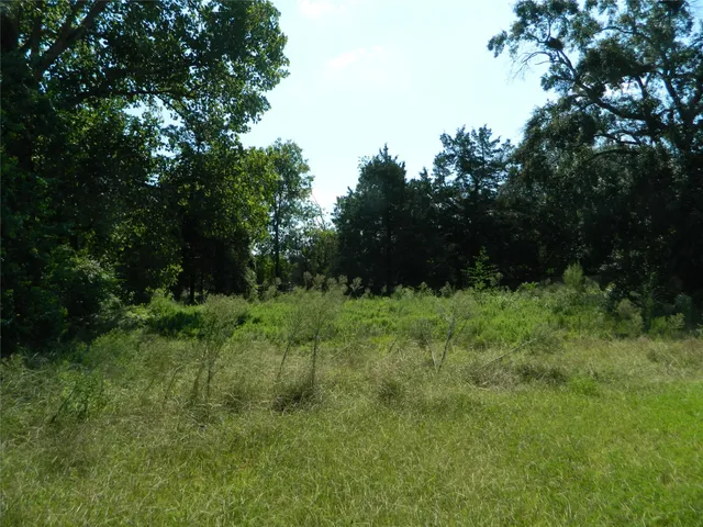 a big yard with lots of green space and trees all around