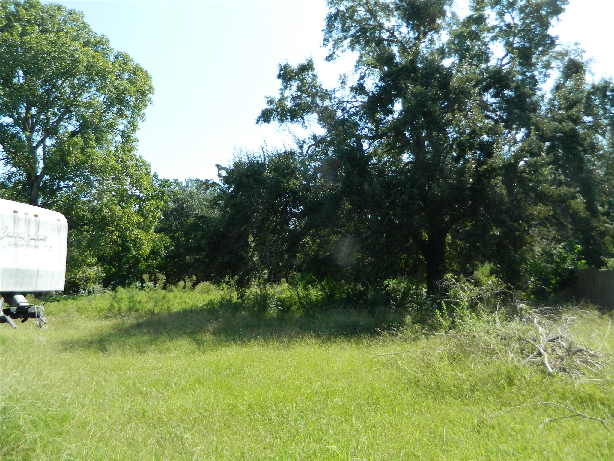 0 None Waller, TX 77484 - Photo 5 of 5 a view of a lush green forest