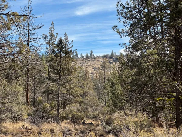 $17,000 | 0 Golden Eagle Drive, Unit 23 & 24, Bonanza, OR 97623