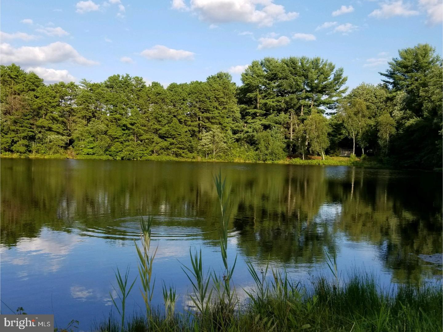 119 Heath Road Medford, NJ 08055 - Photo 1 of 25 Gallery Image 1
