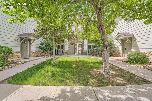a view of a house with backyard and a tree