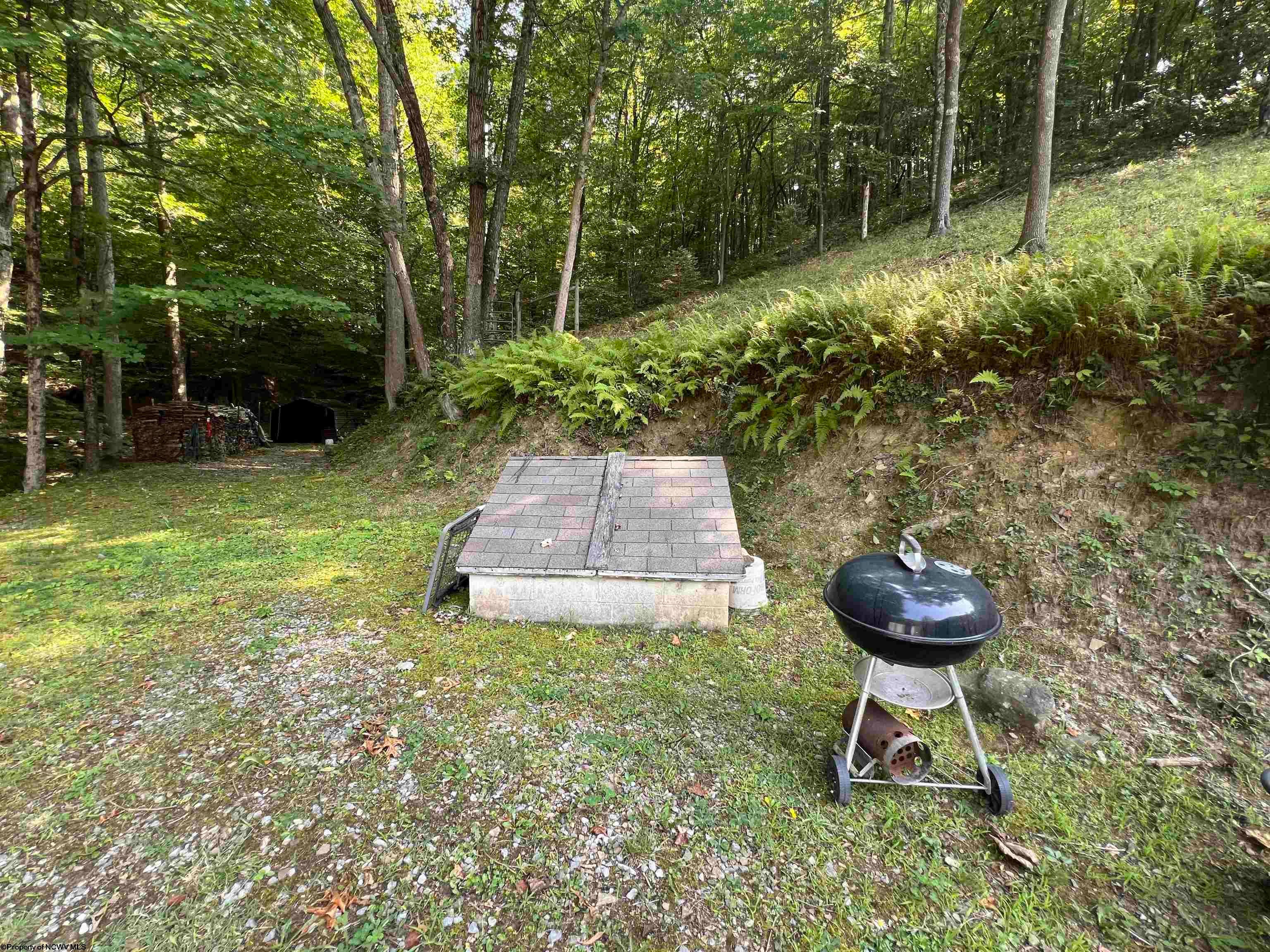 6176 Clover Run Road Parsons, WV 26287 - Photo 26 of 36 Gallery Image 26