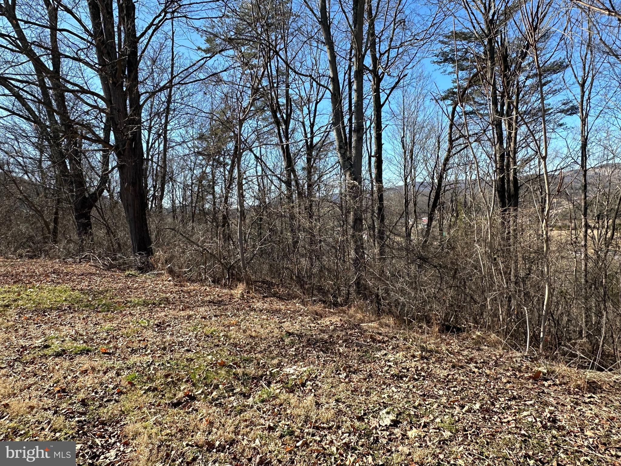 13205 Rock Point Road Northeast Flintstone, MD 21530 - Photo 31 of 44 Private Location