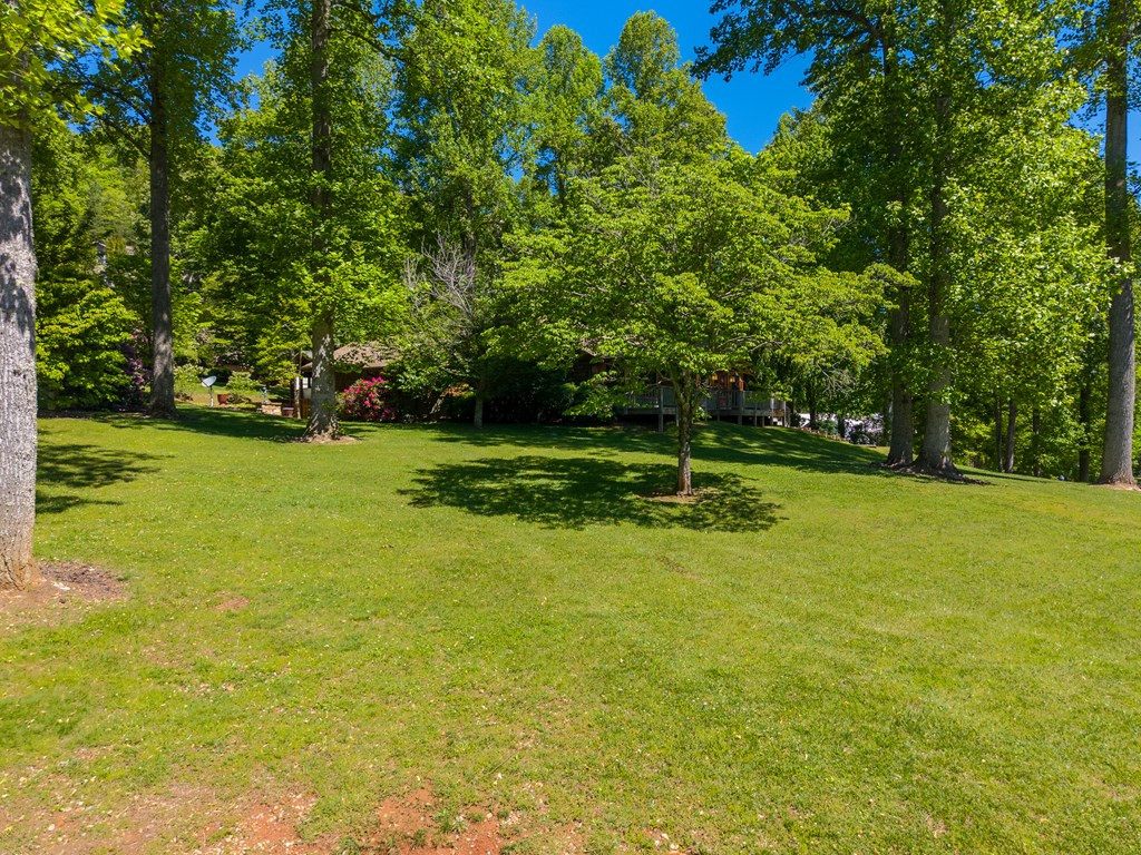 34 Shane Laughter Road Robbinsville, NC 28771 - Photo 2 of 55