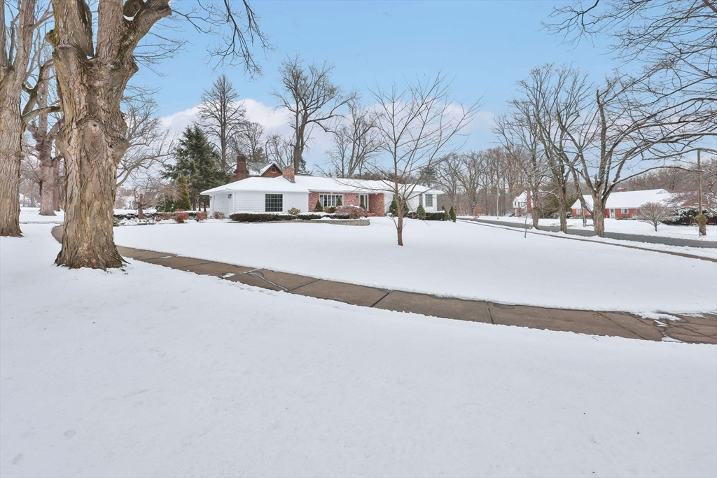 24 Cunningham Street Springfield, MA 01107 - Photo 3 of 42