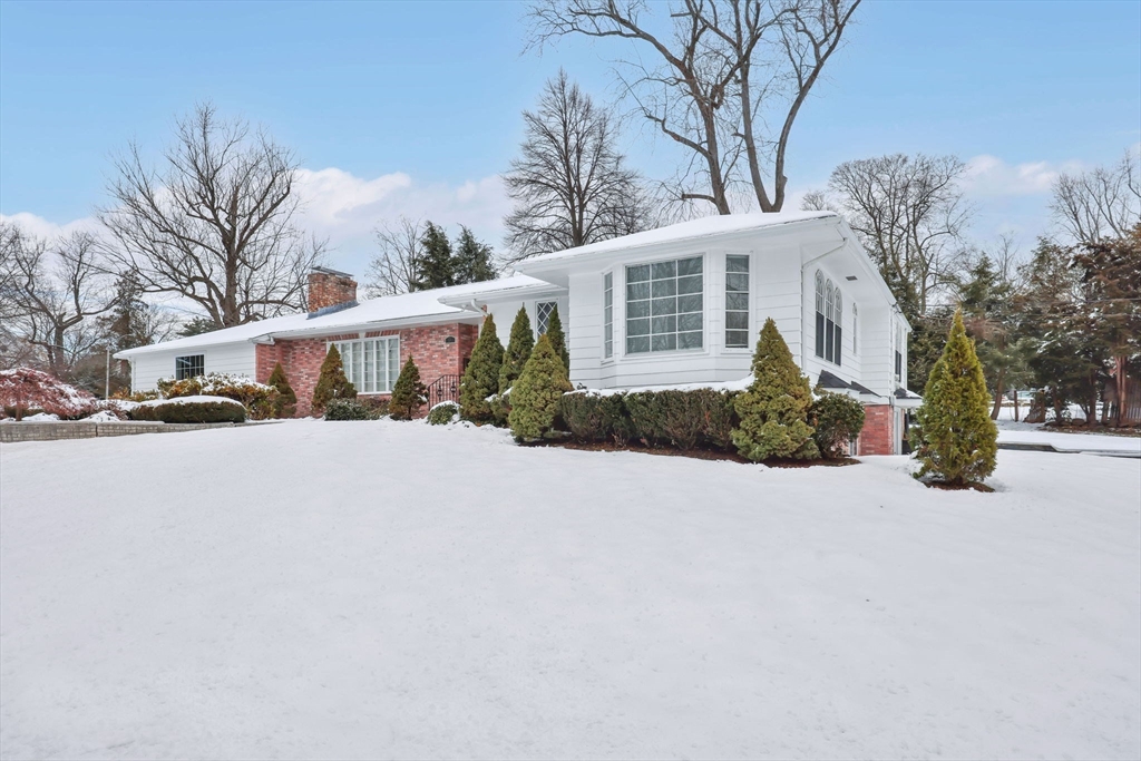 24 Cunningham Street Springfield, MA 01107 - Photo 37 of 42