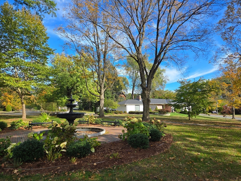 24 Cunningham Street Springfield, MA 01107 - Photo 42 of 42