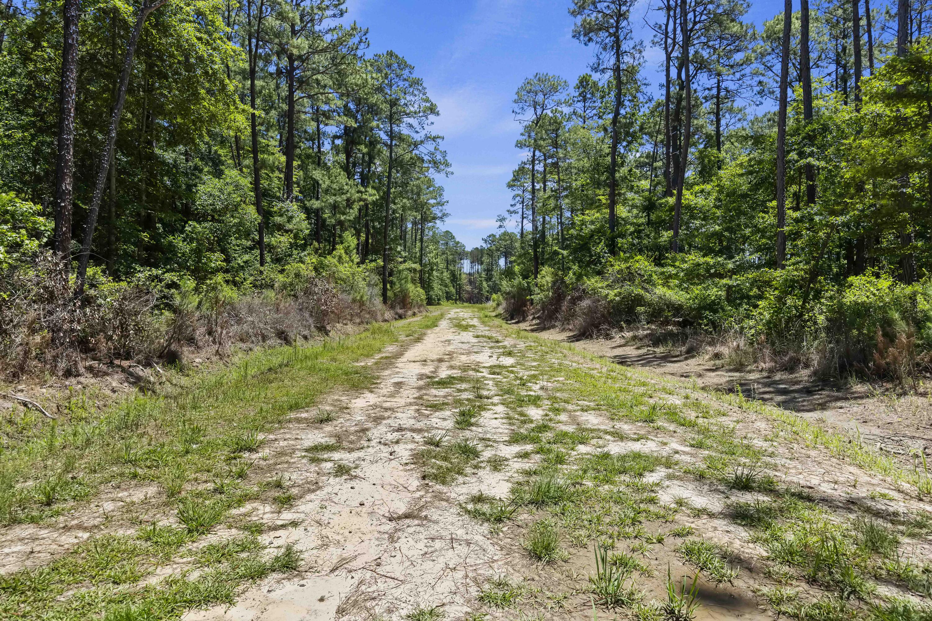 543 Campbell Road Ridgeville, SC 29472 - Photo 39 of 50 CHS_2764