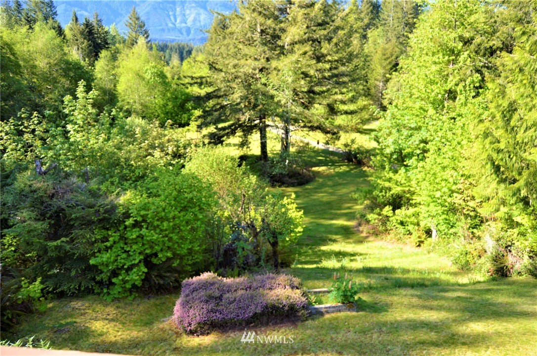 706-34 Falls Road Randle, WA 98377 - Photo 22 of 40 Gallery Image 22