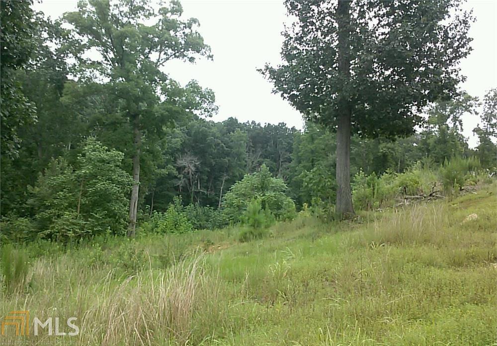 0 Waterworks Road Northwest Commerce, GA 30529 - Photo 1 of 1