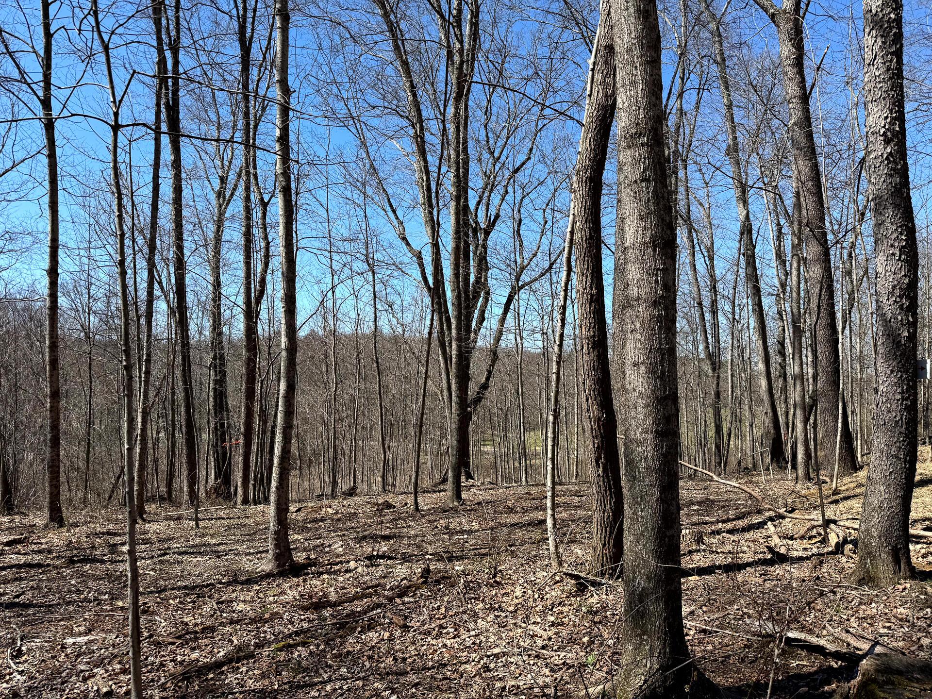 0 Dutch Ridge Road Southeast, Unit WOODS TURKEY RUN TRACT 5) New Lexington, OH 43764 - Photo 57 of 58 CT-57