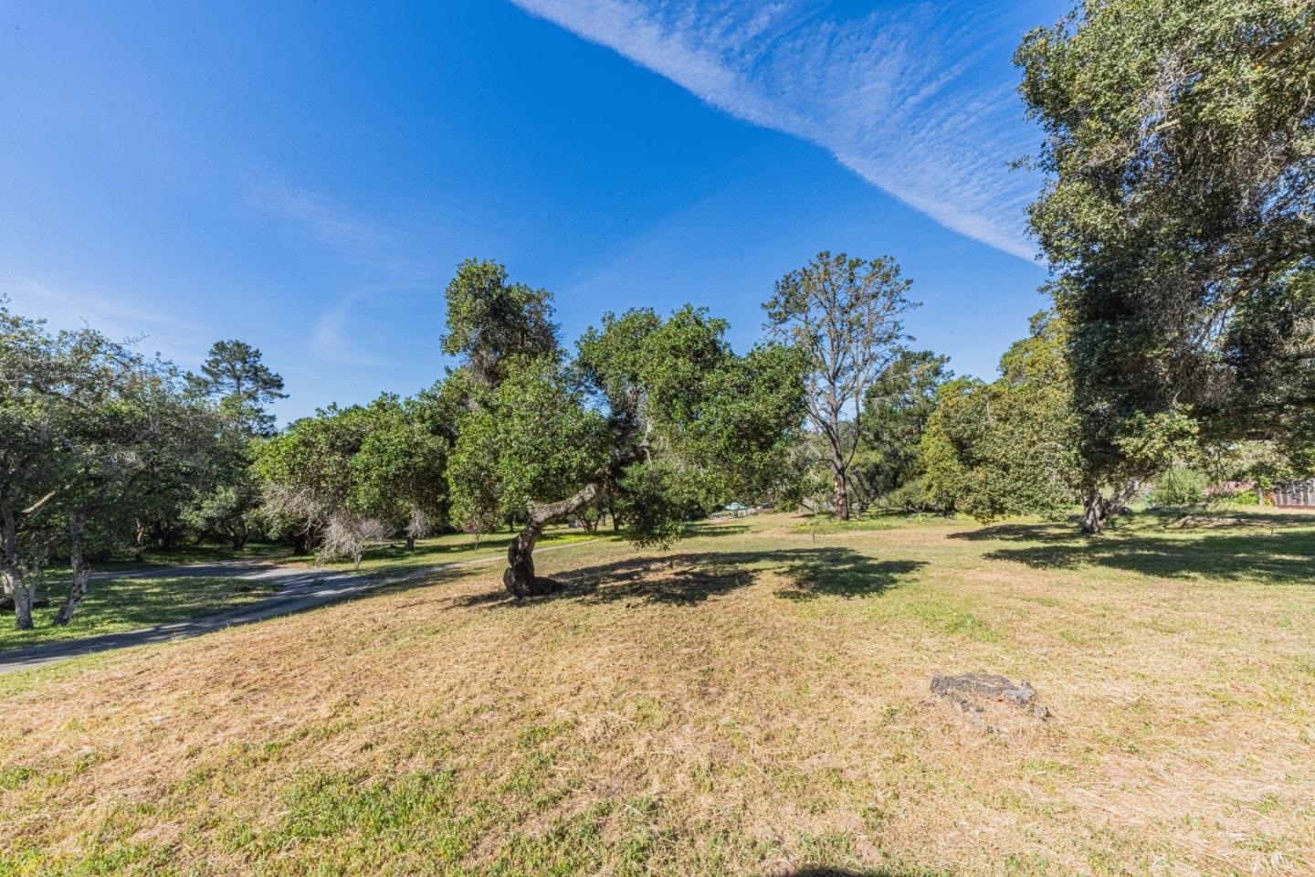 6959 Valle Pacifico Road Salinas, CA 93907 - Photo 30 of 45 a view of a yard with an outdoor space