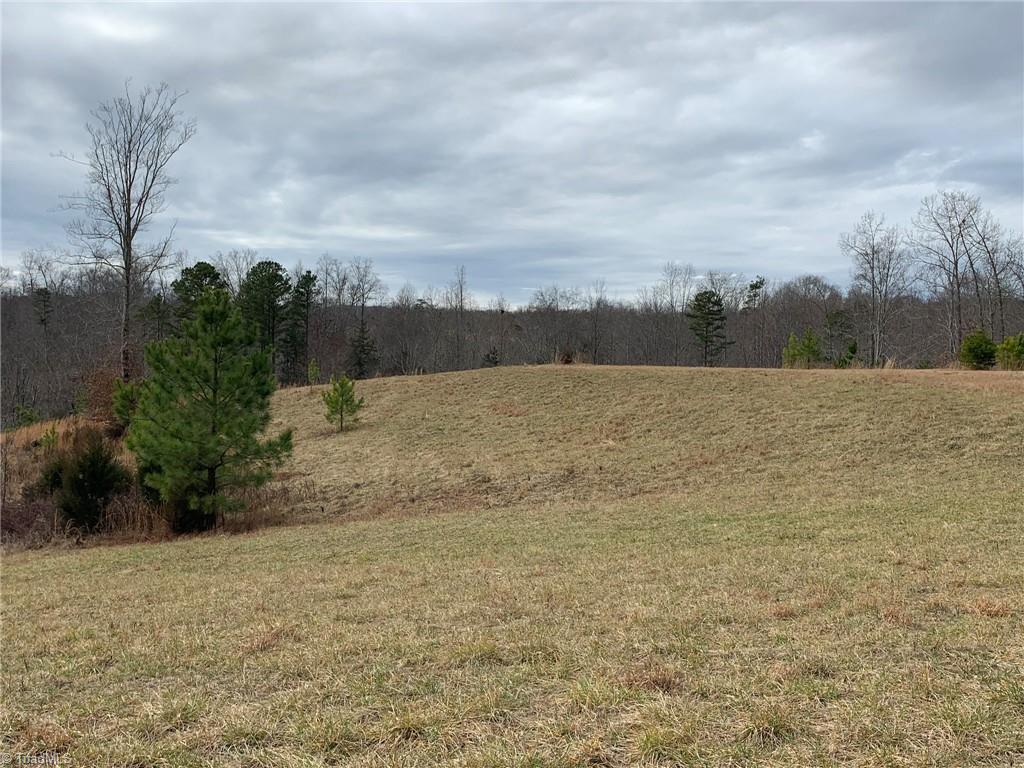 4063 Beckerdite Road Sophia, NC 27350 - Photo 1 of 15 Gallery Image 1
