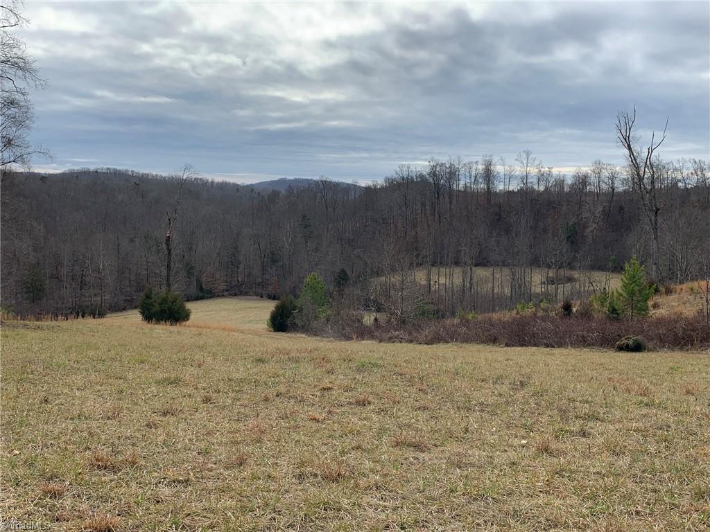 4063 Beckerdite Road Sophia, NC 27350 - Photo 2 of 15 Gallery Image 2