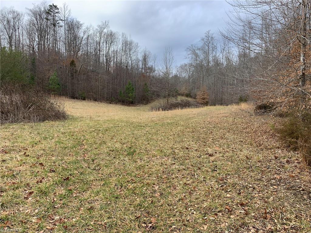 4063 Beckerdite Road Sophia, NC 27350 - Photo 3 of 15 Gallery Image 3