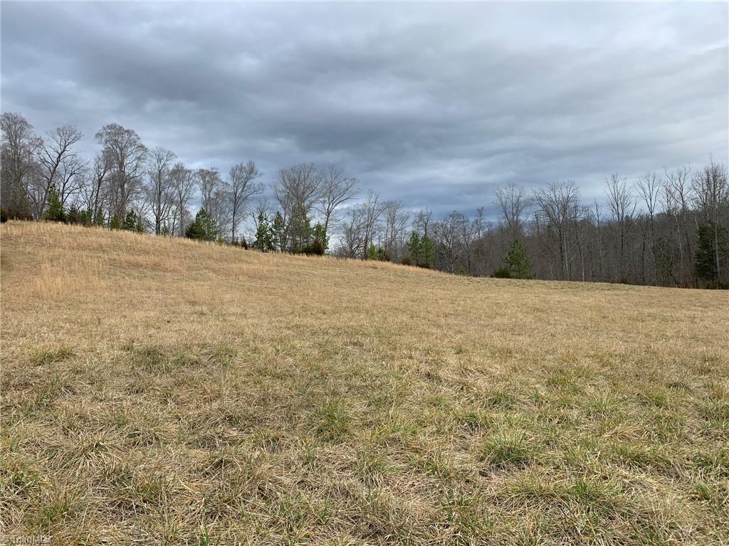 4063 Beckerdite Road Sophia, NC 27350 - Photo 4 of 15 Gallery Image 4