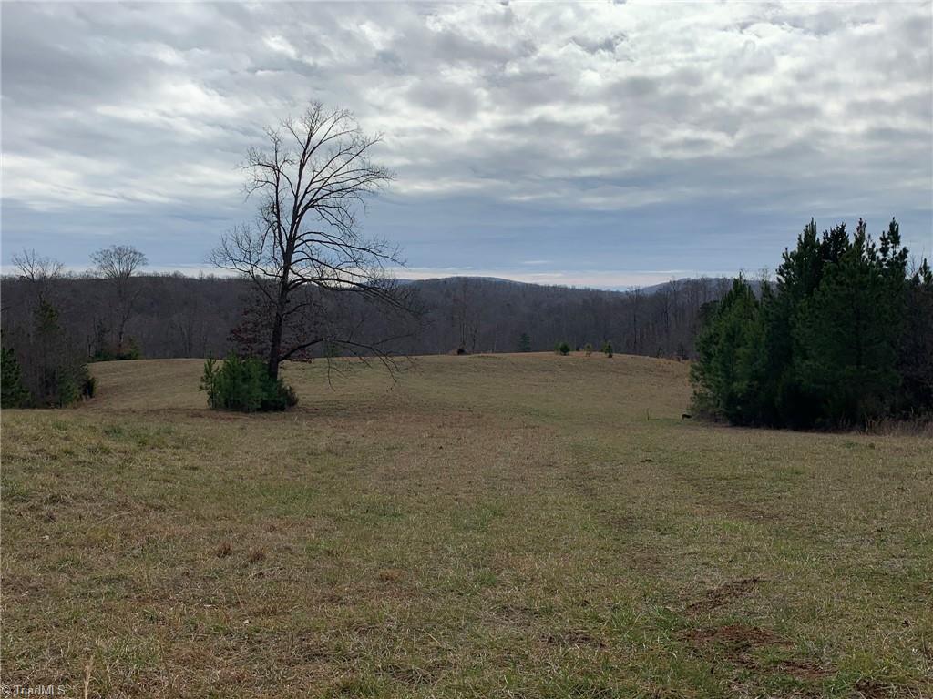 4063 Beckerdite Road Sophia, NC 27350 - Photo 8 of 15 Gallery Image 8