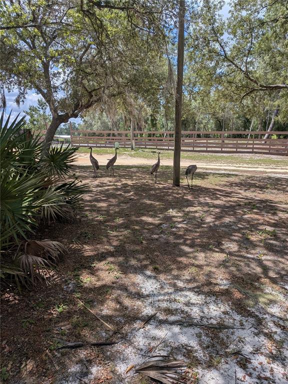 44931 2nd Street DeLand, FL 32720 - Photo 23 of 27