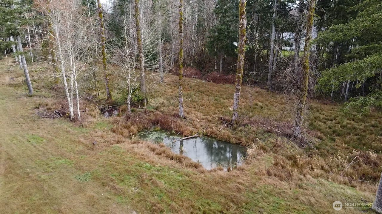 1296 Centralia Alpha Road Chehalis, WA 98532 - Photo 30 of 39 a view of a forest with trees in the background