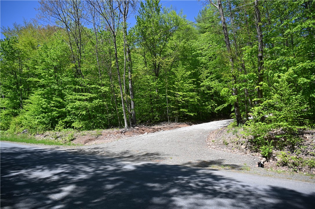 276 Starr Road Otego, NY 13825 - Photo 1 of 11 Well built driveway into the property.