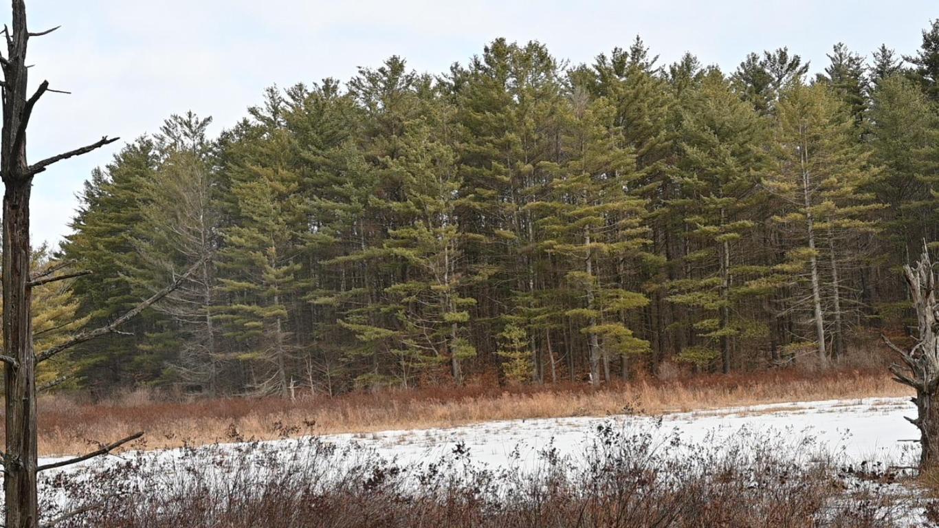 276 Starr Road Otego, NY 13825 - Photo 11 of 11 beautiful fog on the water.
