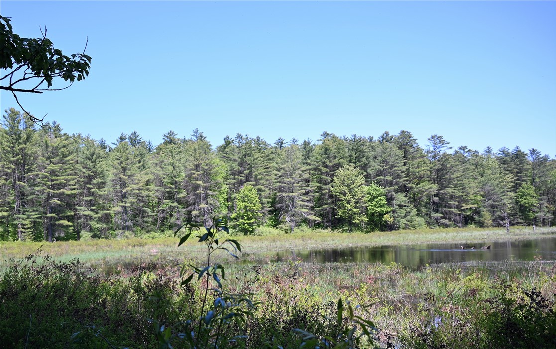 276 Starr Road Otego, NY 13825 - Photo 3 of 11 The land extends well past the water.