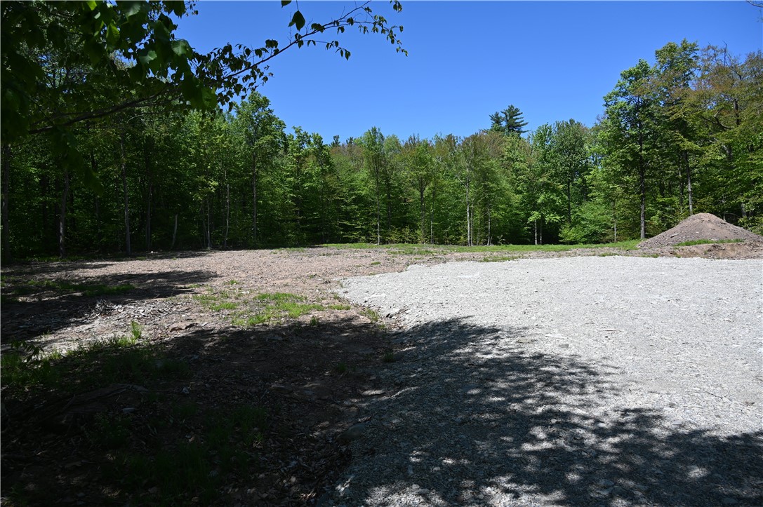 276 Starr Road Otego, NY 13825 - Photo 4 of 11 Cleared area for building, camping or playing.