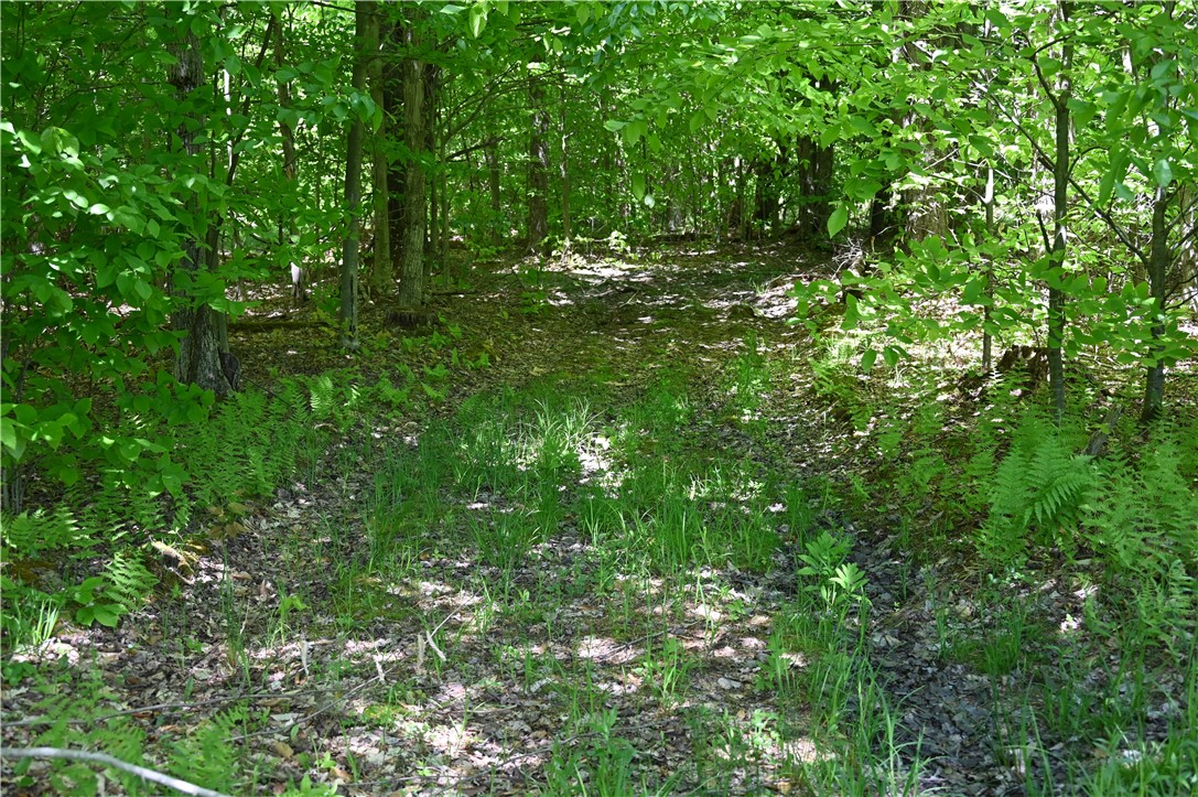 276 Starr Road Otego, NY 13825 - Photo 5 of 11 Trails are here for walking or 4 wheelers.