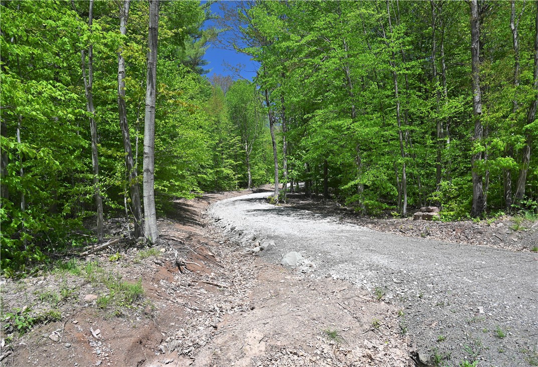 276 Starr Road Otego, NY 13825 - Photo 6 of 11 easy entrance which is unusual for most land avail