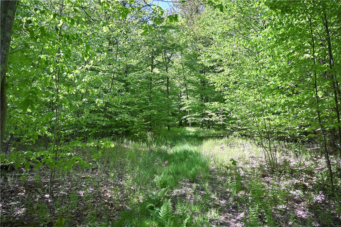 276 Starr Road Otego, NY 13825 - Photo 10 of 11 more trails..