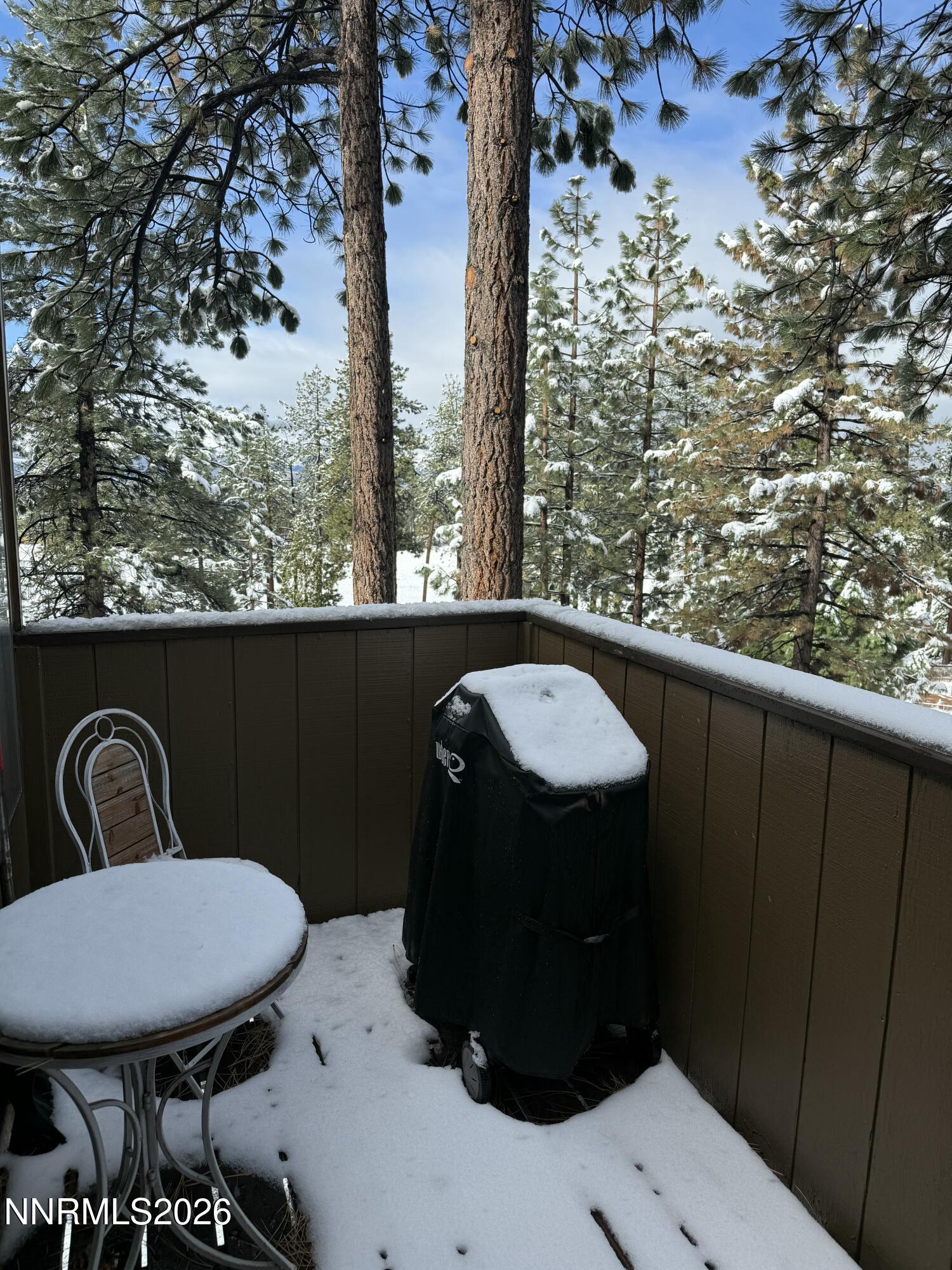 233 Clubhouse Circle Stateline, NV 89449 - Photo 19 of 28 small deck