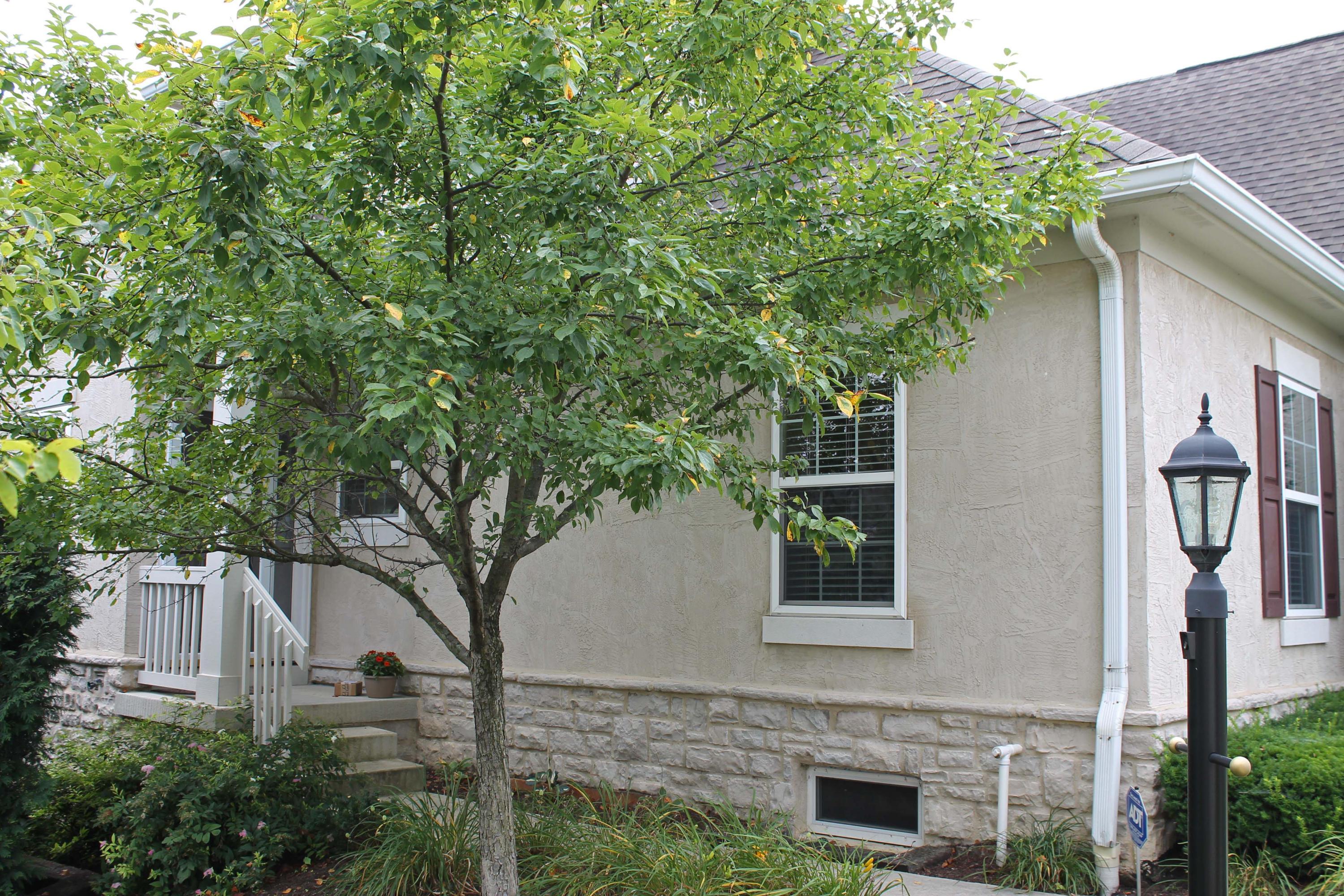 4929 Tempe Road Powell, OH 43065 - Photo 2 of 37