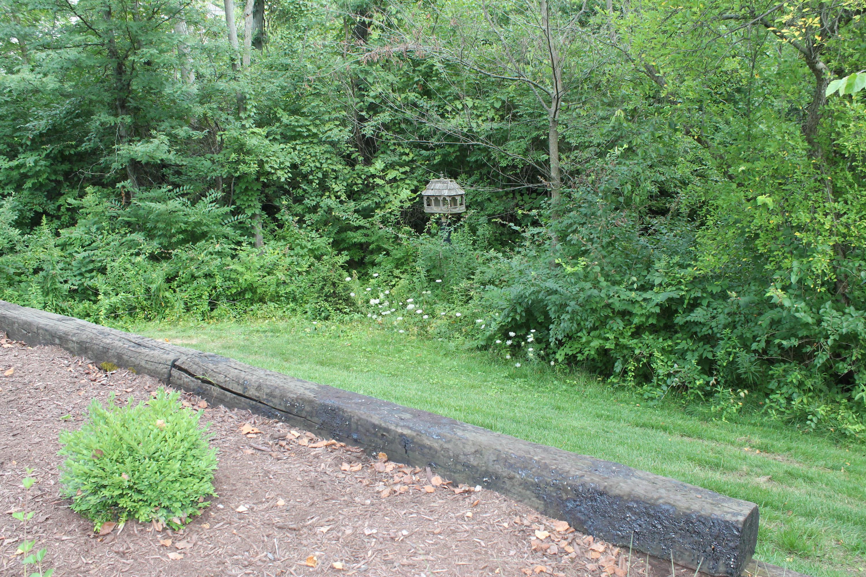 4929 Tempe Road Powell, OH 43065 - Photo 33 of 37