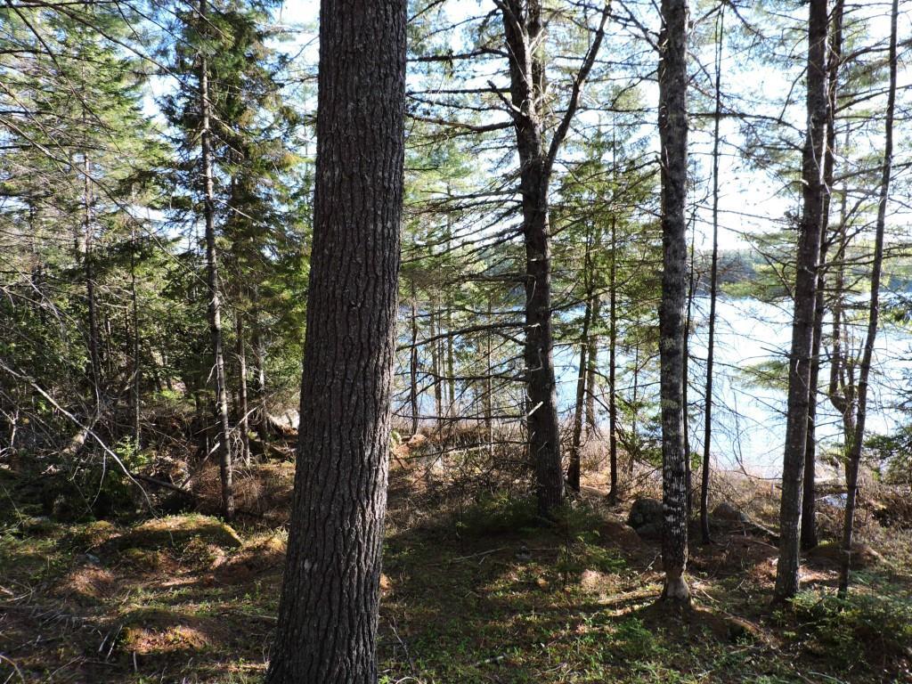 Lot #14 Short Point Way Orland, ME 04472 - Photo 16 of 17 Photo