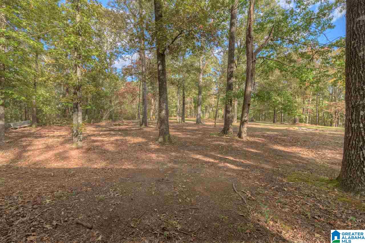 7263 Abernathy Road McCalla, AL 35111 - Photo 4 of 34 Gallery Image 4