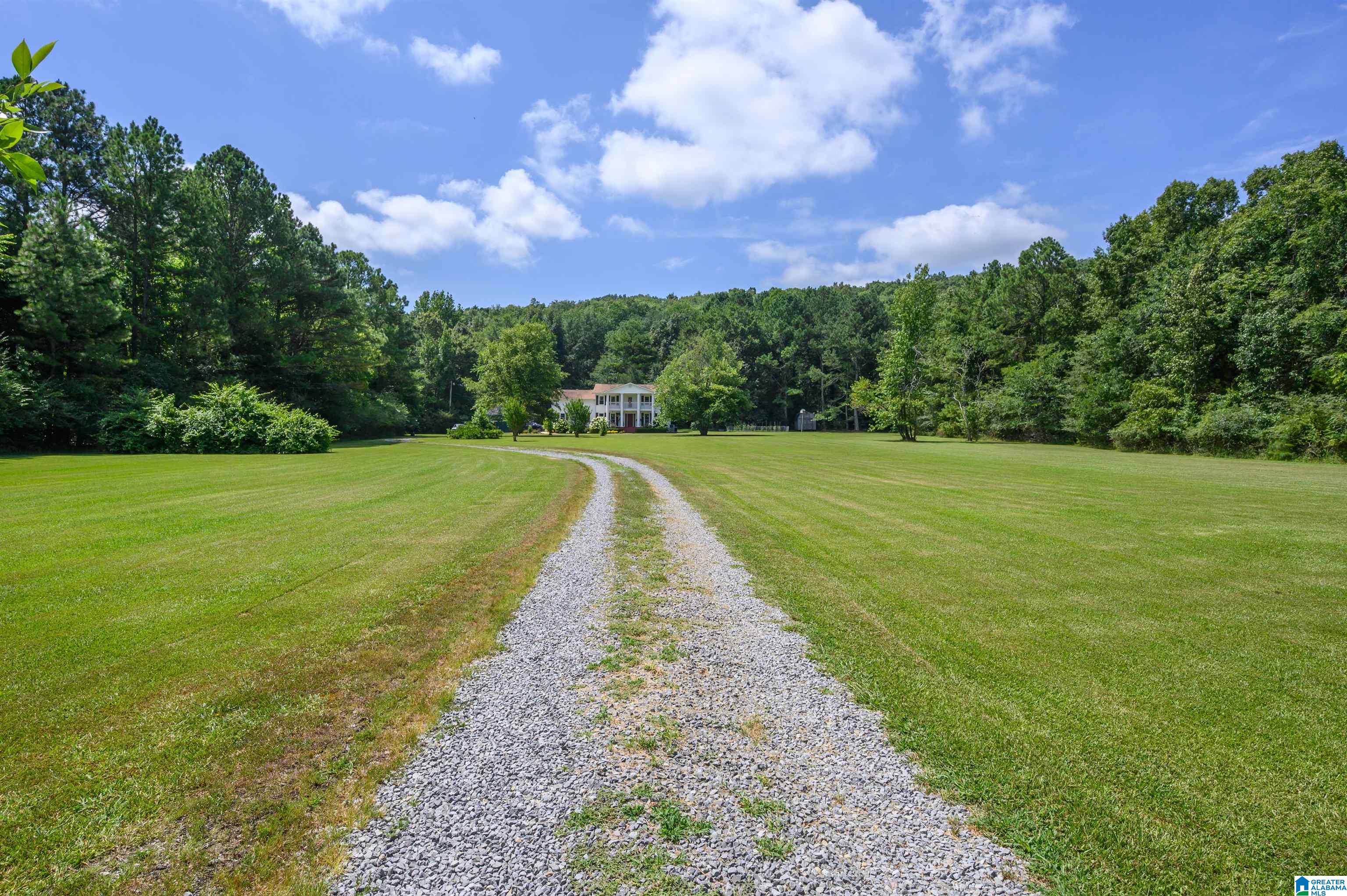 4557 County Road 9 Hayden, AL 35079 - Photo 2 of 66
