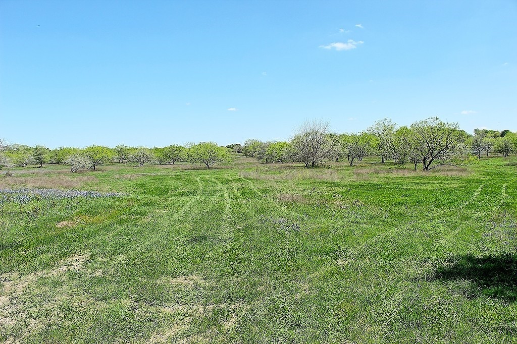 Tbd Scott Road Weimar, TX 78962 - Photo 5 of 16 a view of field with trees in background