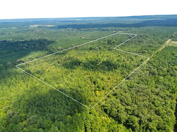 a view of a field with an ocean